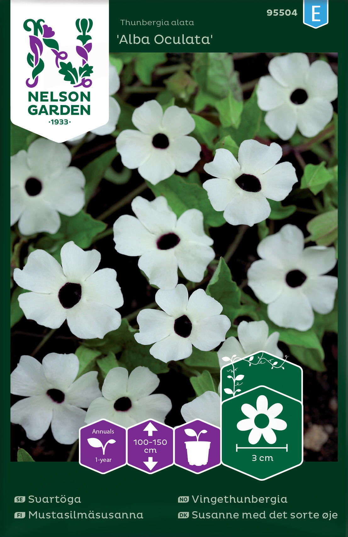 Vingethunbergia 'Alba Oculata'